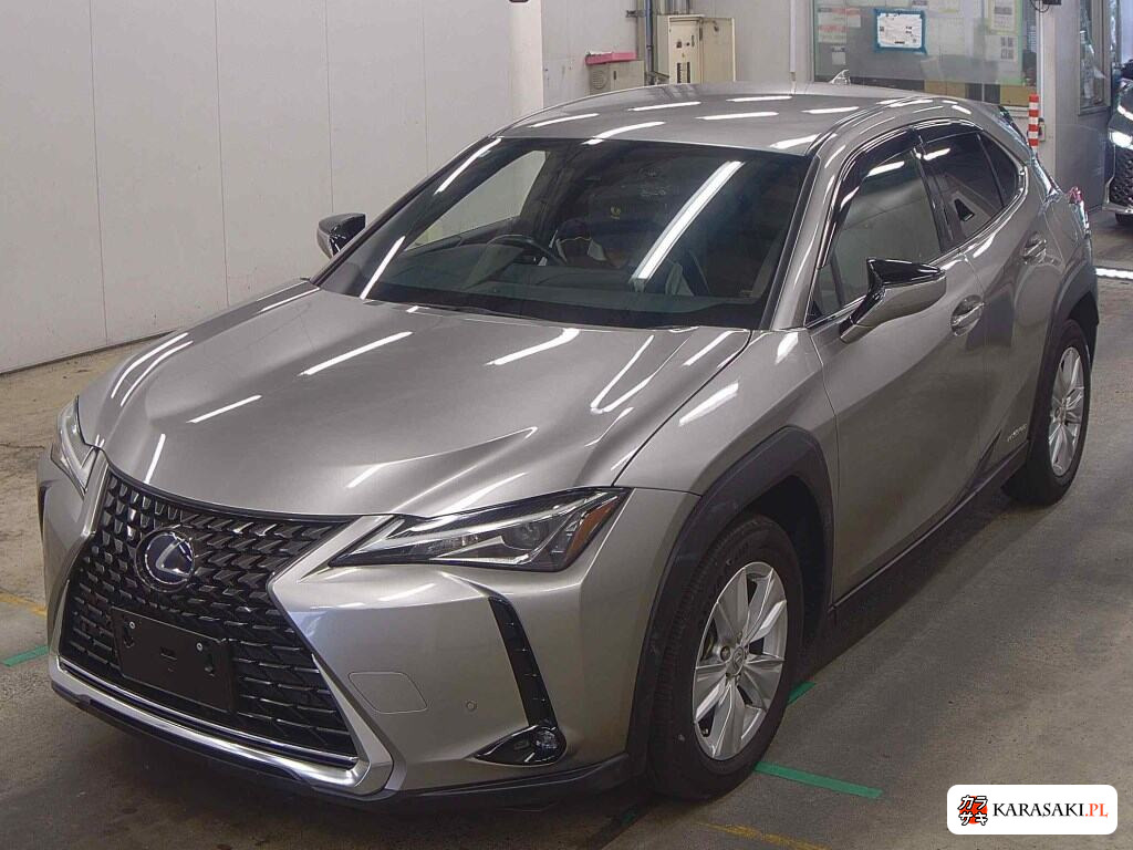 2019 Lexus Ux UX250H Version C 3