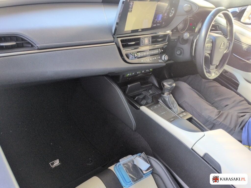2021 Lexus Es ES300H F Sport 5