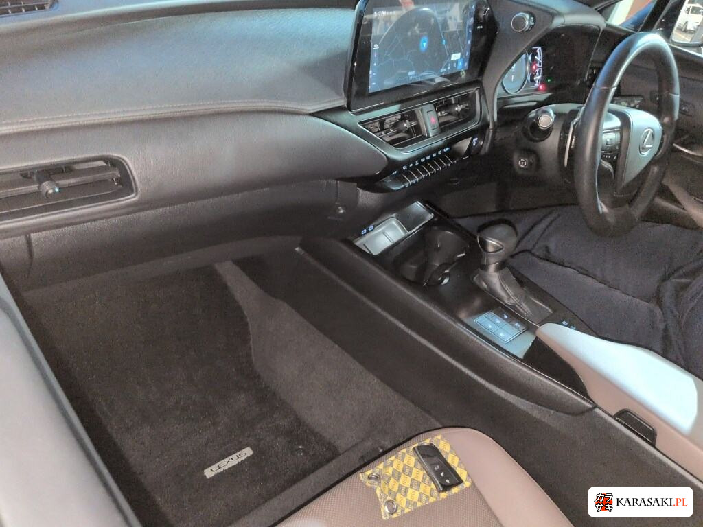 2023 Lexus Ux UX250H Graceful Explorer 5