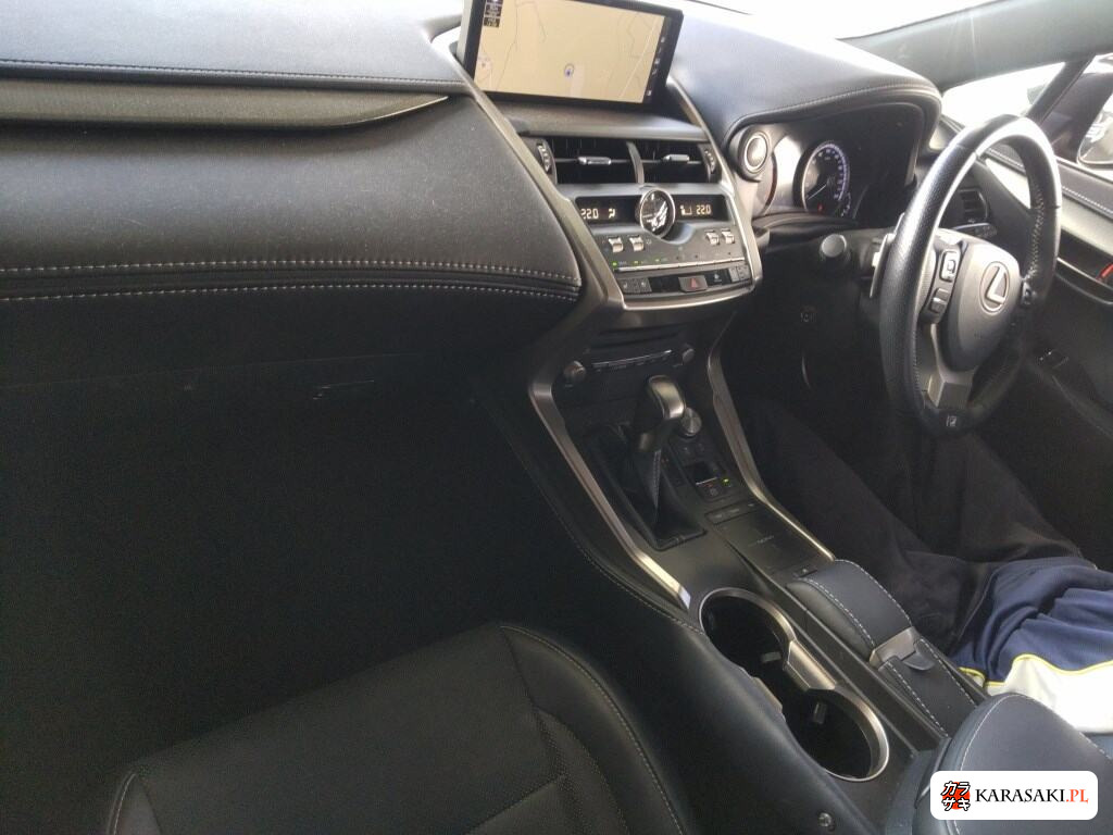 2019 Lexus NX NX300 F Sport 5