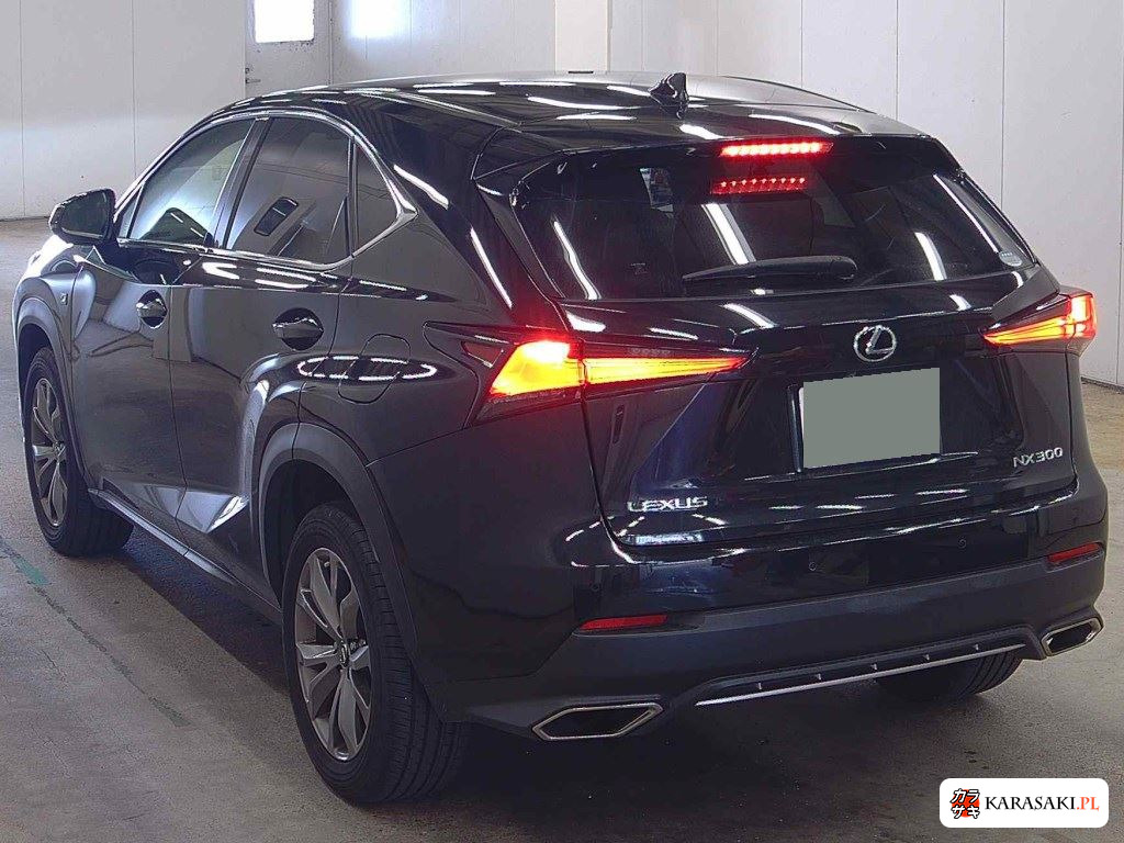 2019 Lexus NX NX300 F Sport 2