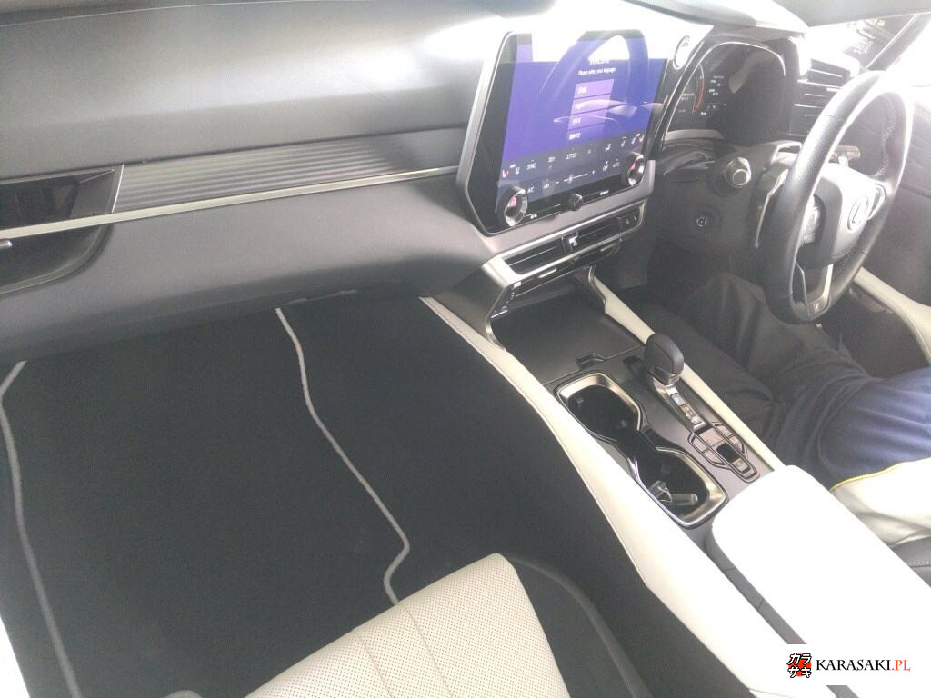 2025 Lexus RX 4WD F Sport 5