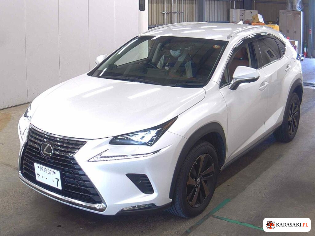 2019 Lexus NX NX300 Version L 3