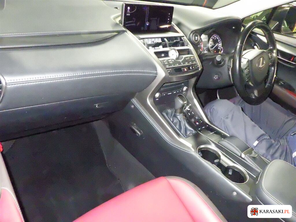 2018 Lexus NX NX300 I Package 5