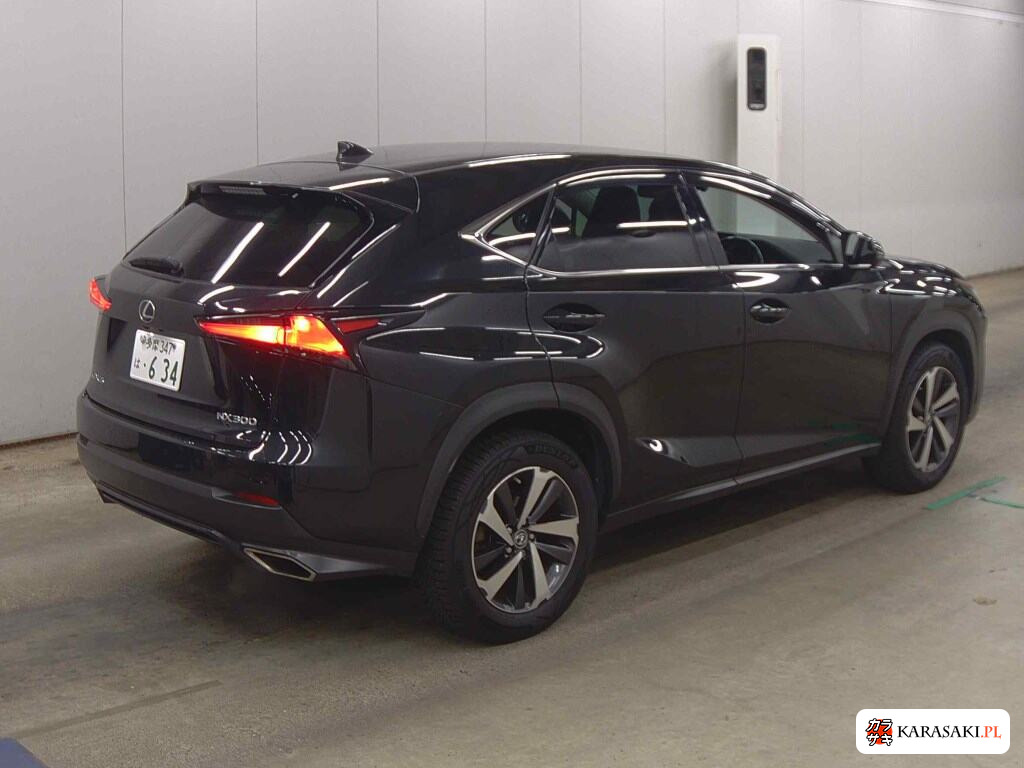 2018 Lexus NX NX300 I Package 4