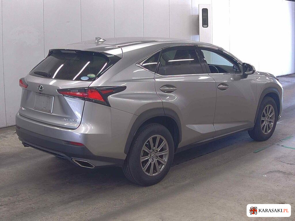 2018 Lexus NX NX300 I Package 4