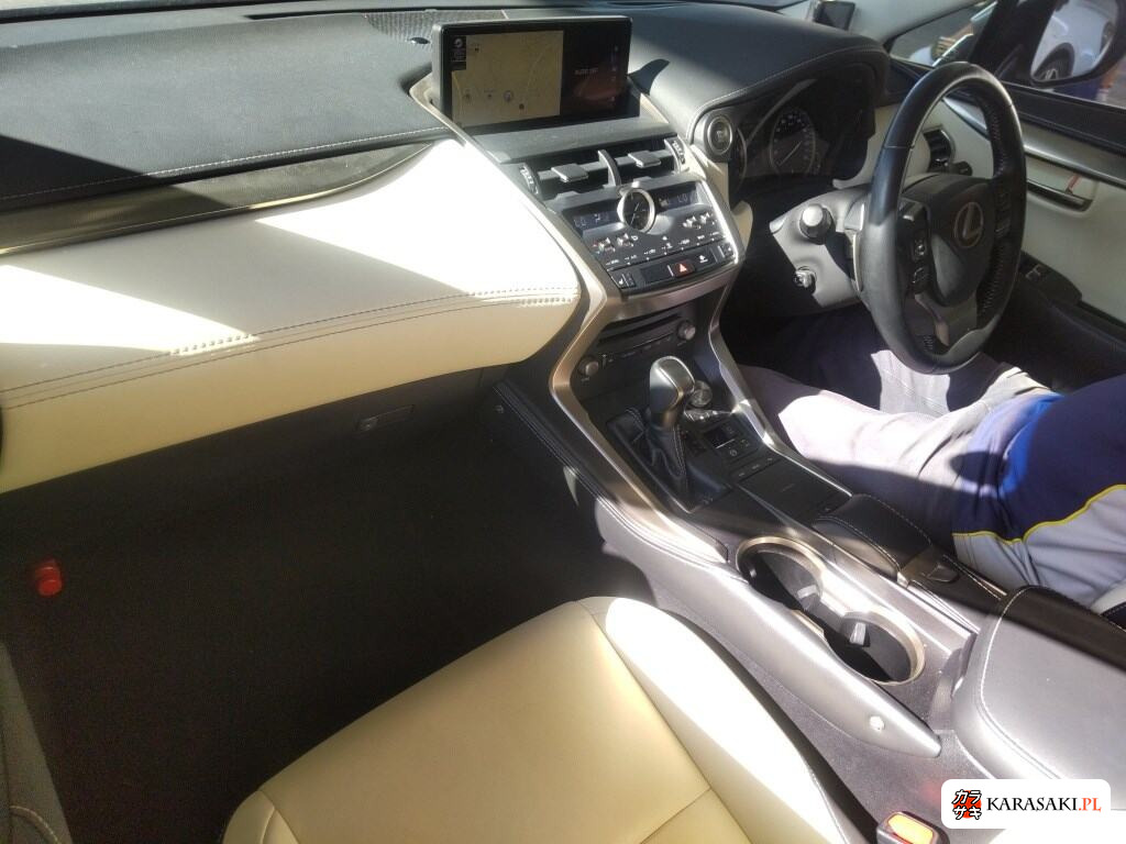 2018 Lexus NX NX300 I Package 5