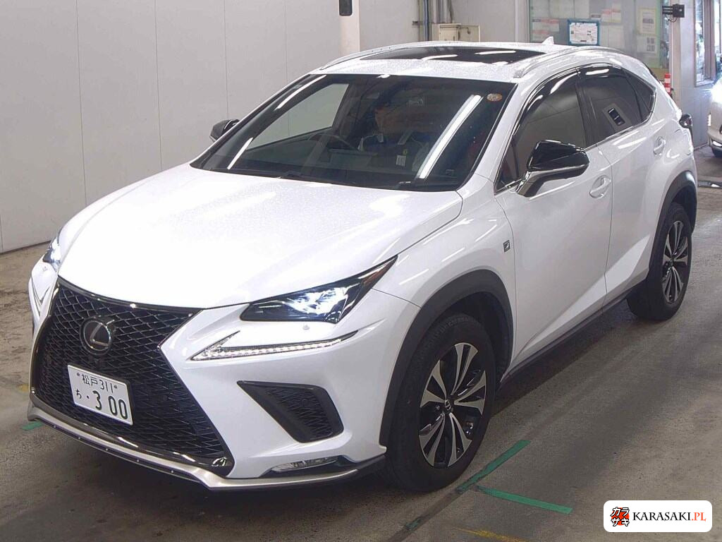 2017 Lexus NX NX300 F Sport 3