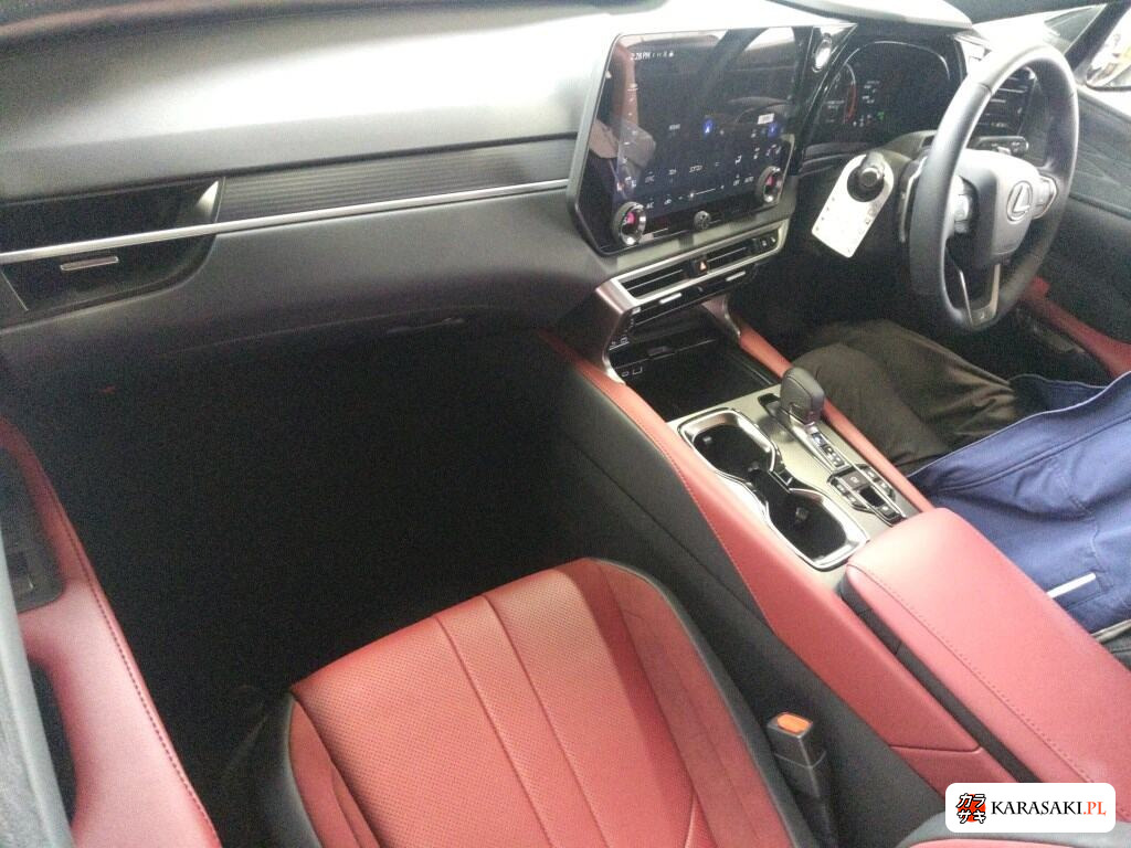 2025 Lexus RX 4WD F Sport 5