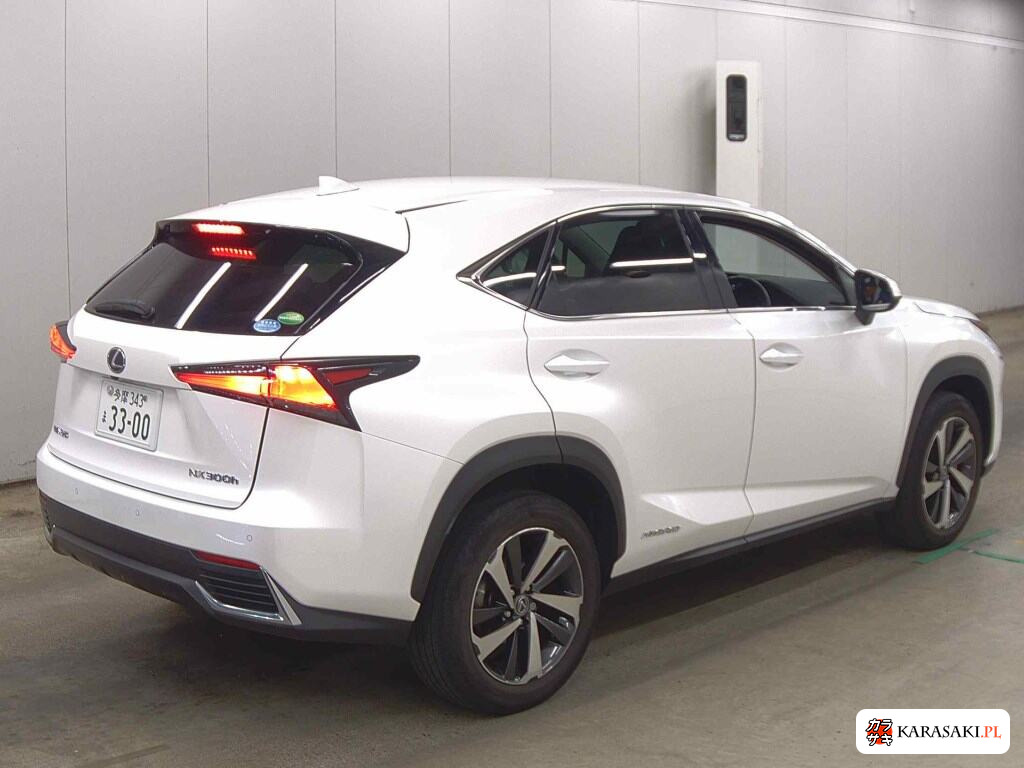 2020 Lexus NX NX300H I Package 4