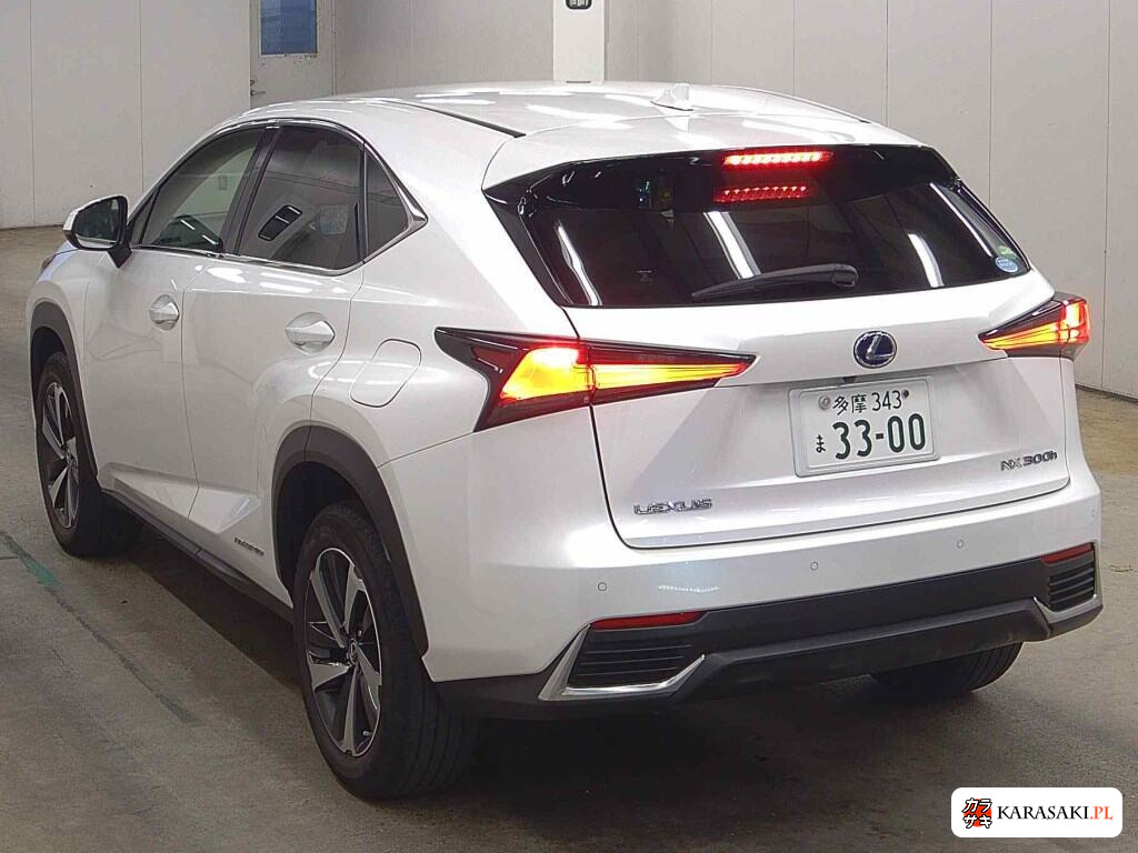 2020 Lexus NX NX300H I Package 2