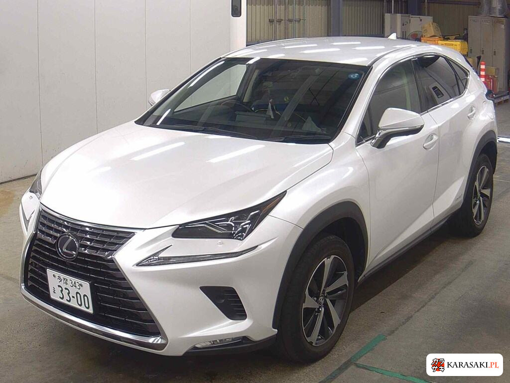 2020 Lexus NX NX300H I Package 3