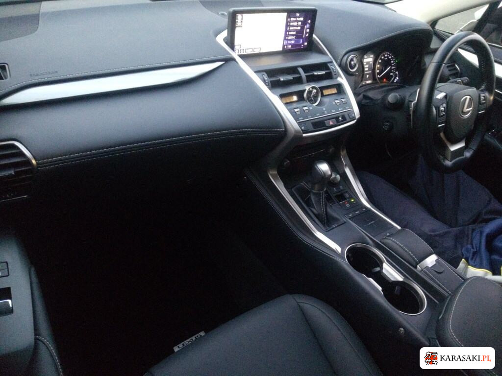 2020 Lexus NX NX300H I Package 5