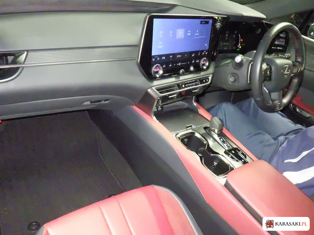 2023 Lexus RX 4WD RX500H F Sport Performance 5