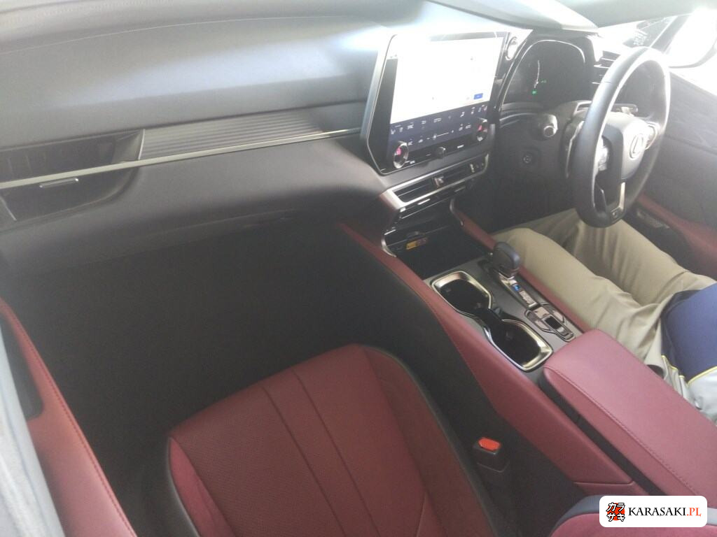 2023 Lexus RX 4WD RX500H F Sport Performance 5