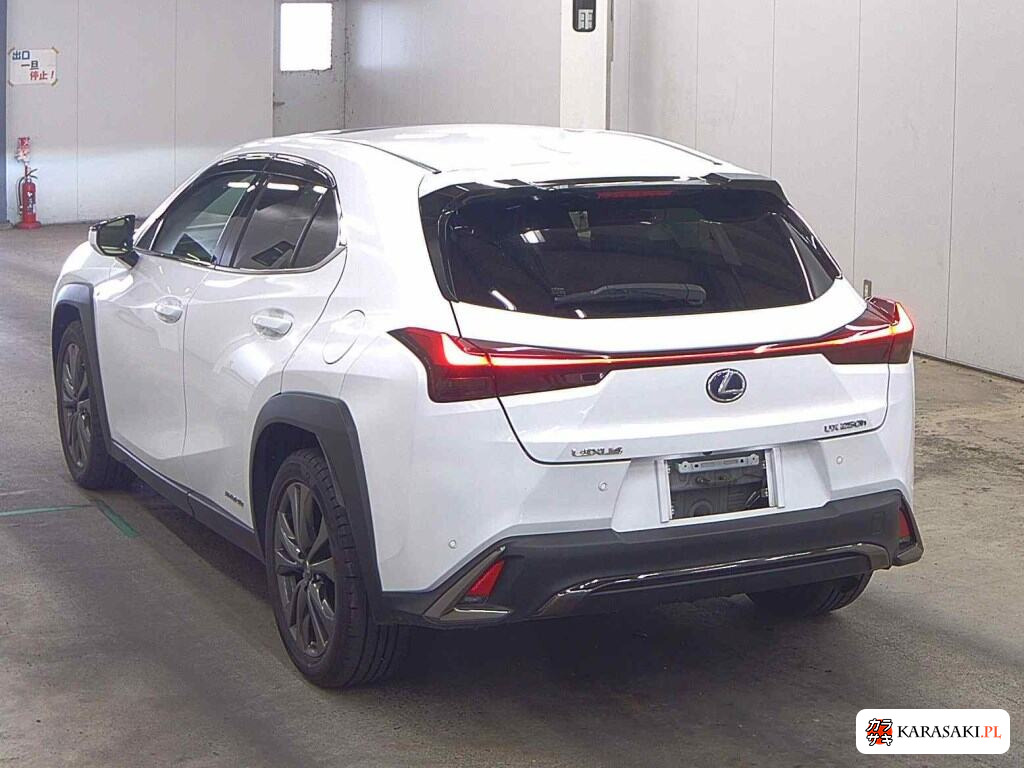2021 Lexus Ux 4WD UX250H F Sport 2