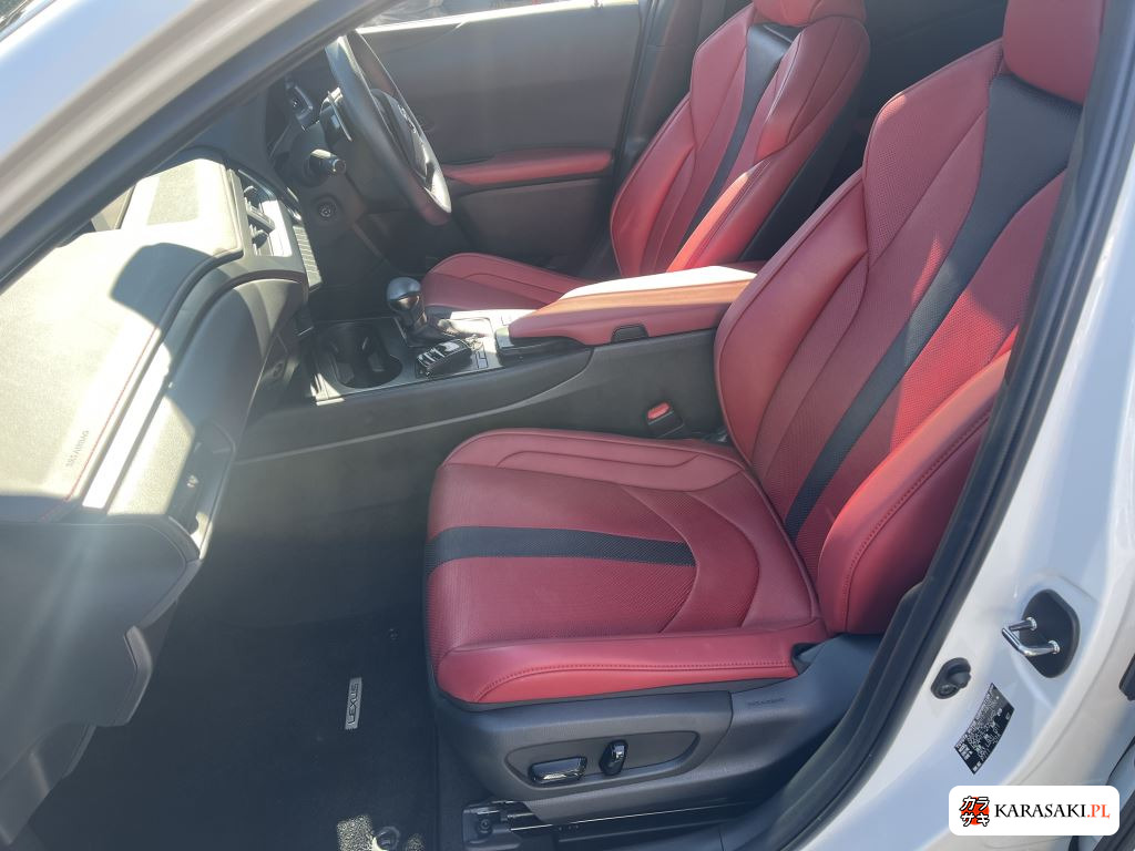 2021 Lexus Ux 4WD UX250H F Sport 10