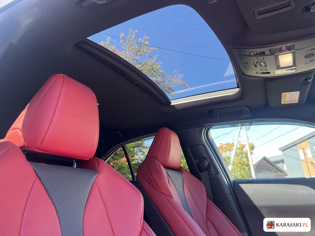 2021 Lexus Ux 4WD UX250H F Sport 12