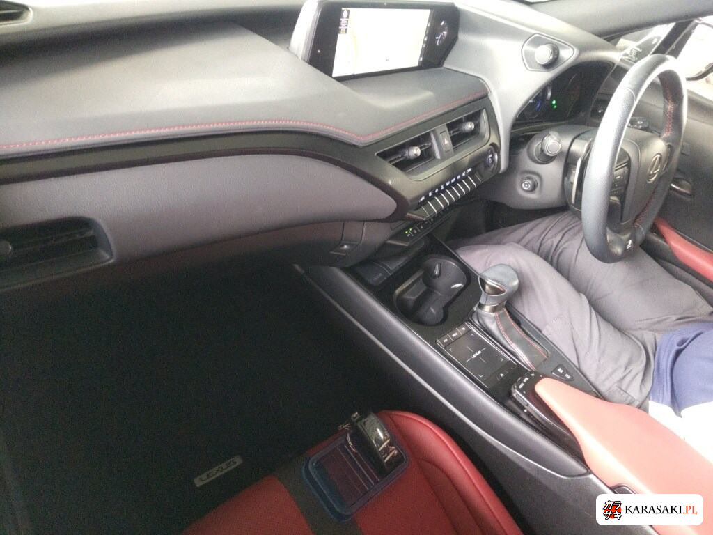 2021 Lexus Ux 4WD UX250H F Sport 5