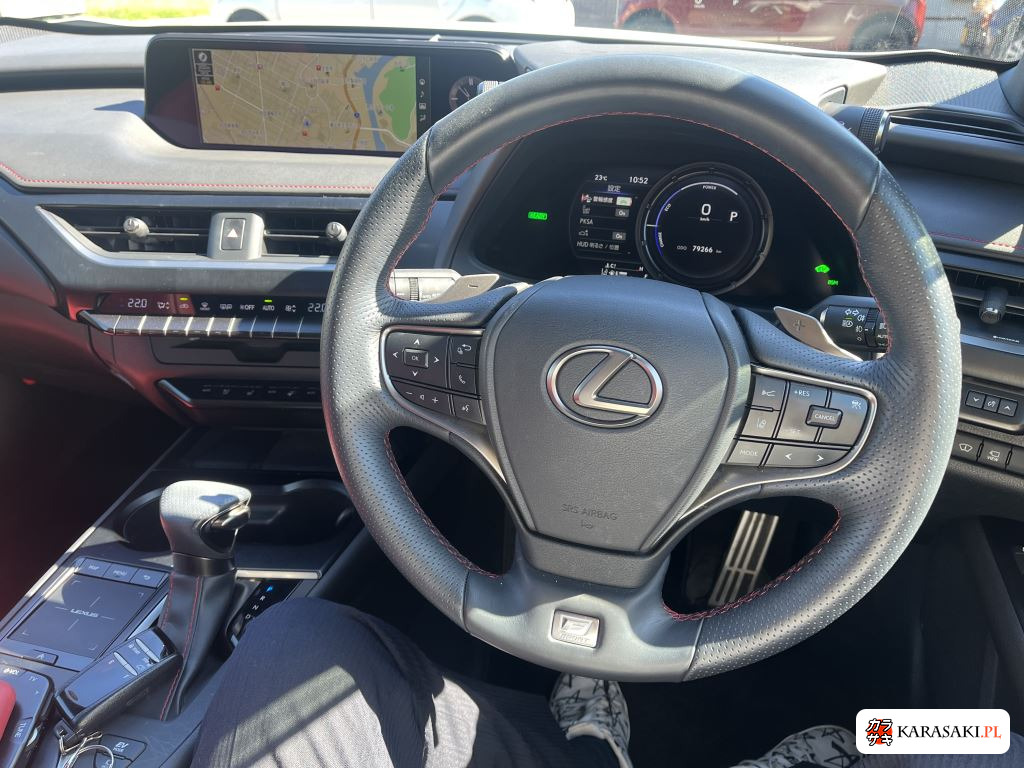 2021 Lexus Ux 4WD UX250H F Sport 7