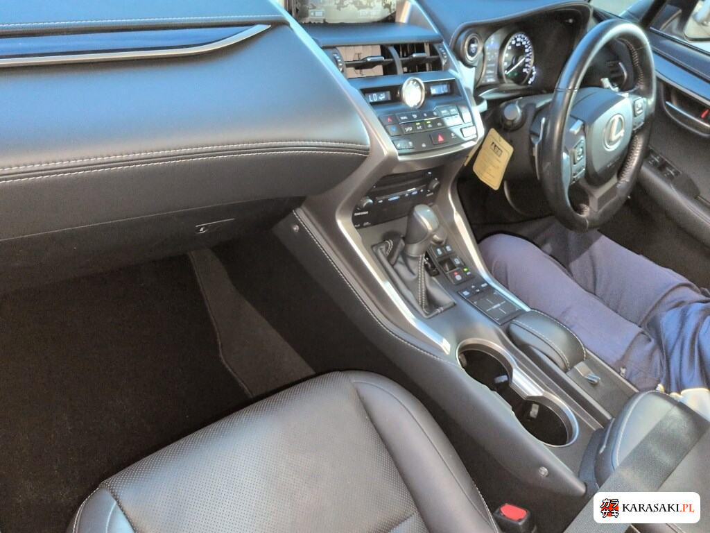 2015 Lexus NX 4WD NX300H Version L 5
