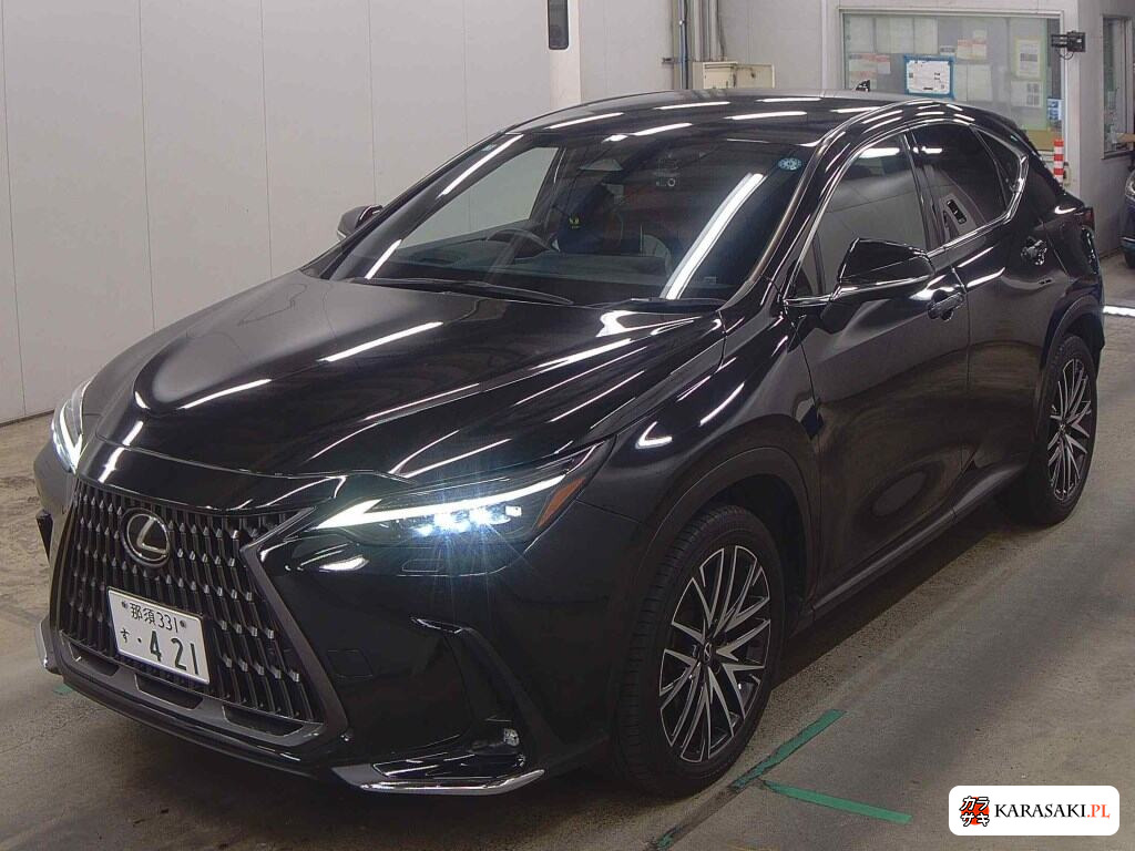 Lexus NX 2023 z aukcji japońskiej
