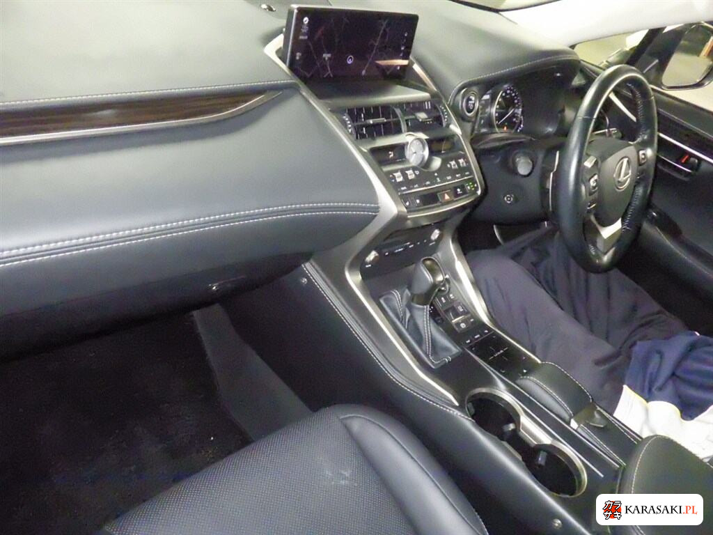 2018 Lexus NX NX300H Version L 5