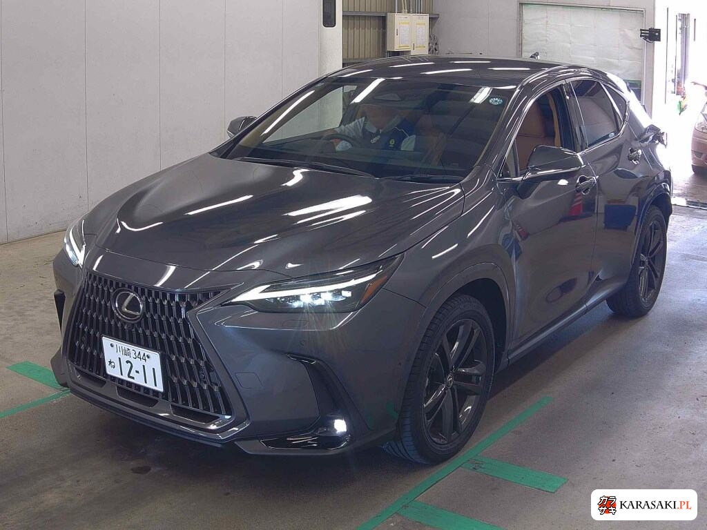 Lexus NX 2025 z aukcji japońskiej