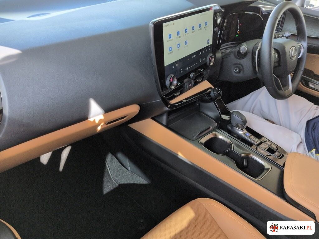 Lexus NX 2025 z aukcji japońskiej