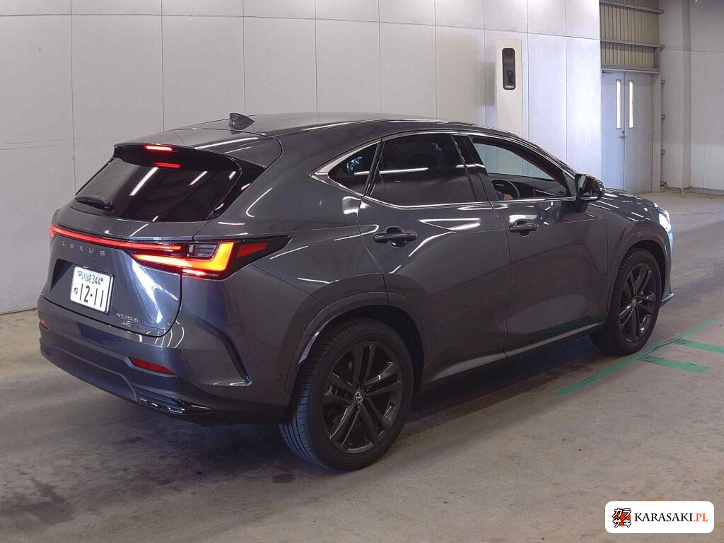 Lexus NX 2025 z aukcji japońskiej