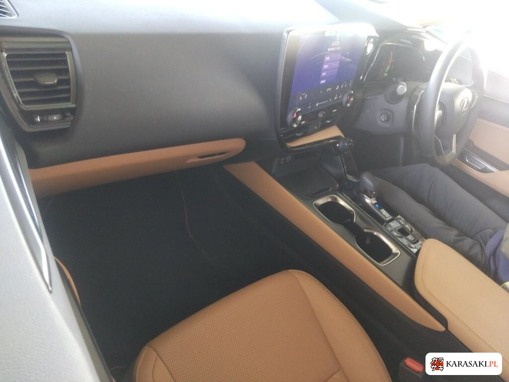 Lexus NX 2024 z aukcji japońskiej