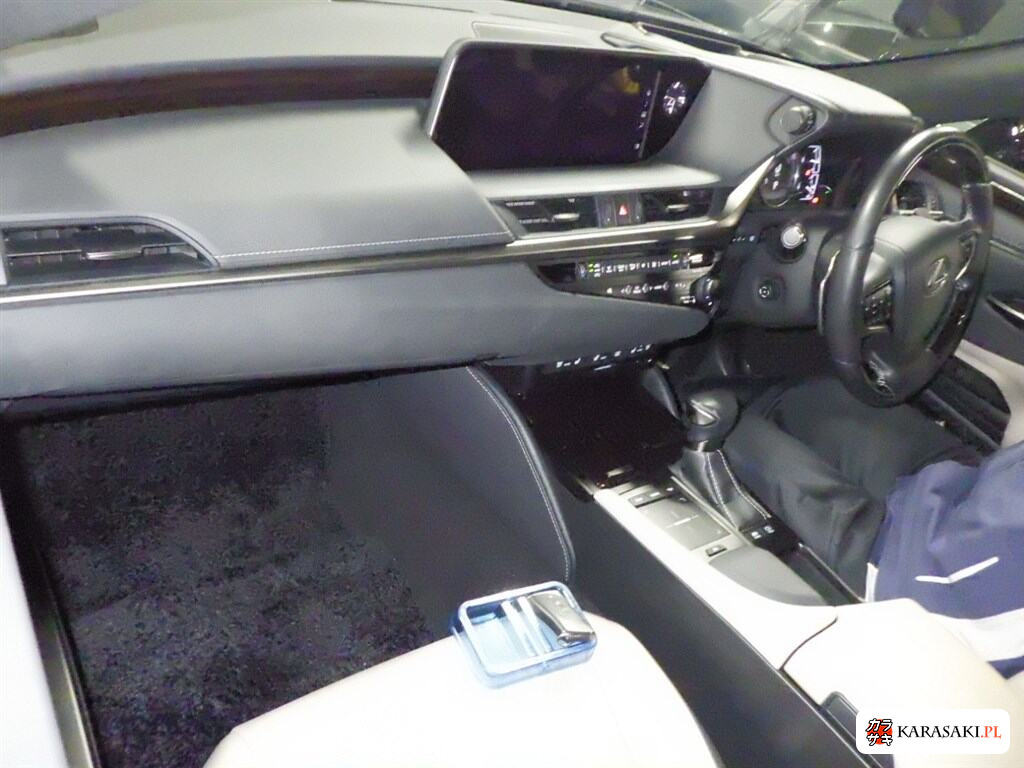 2019 Lexus Es ES300H Version L 5