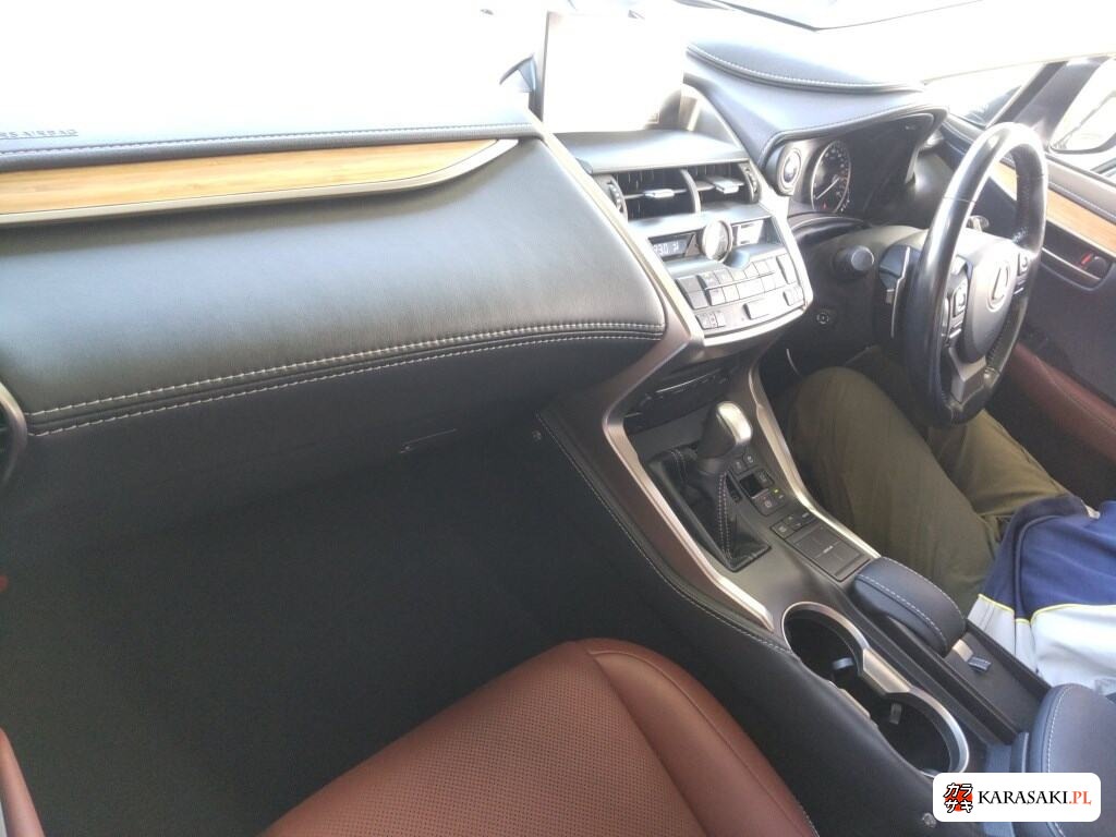 2017 Lexus NX 4WD NX300H Version L 5