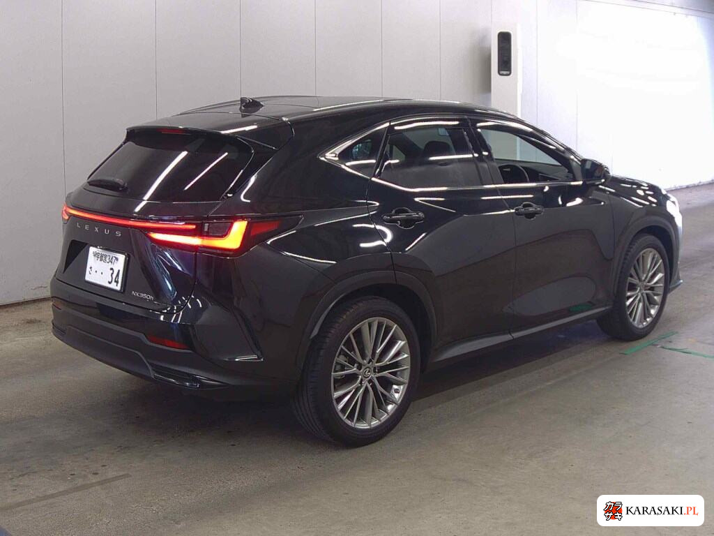 2022 Lexus NX NX350H Version L 4