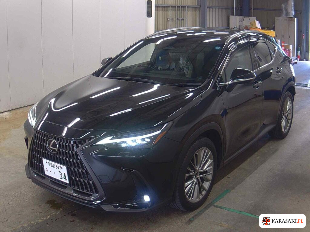 2022 Lexus NX NX350H Version L 3