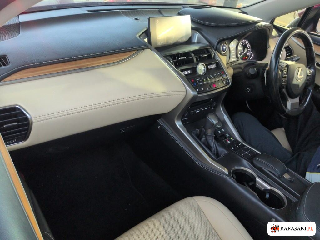 2015 Lexus NX 4WD NX300H Version L 5