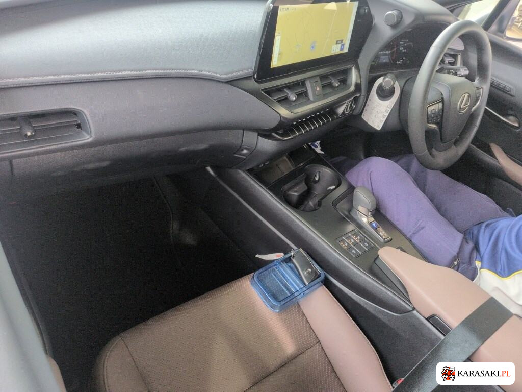 2025 Lexus Ux 4WD UX300H Version L 5