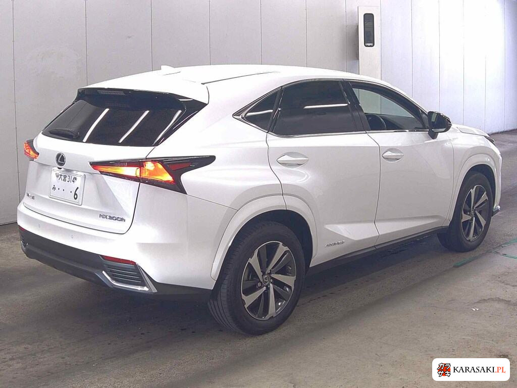 2020 Lexus NX NX300H Special Edition Spice And Chic 4