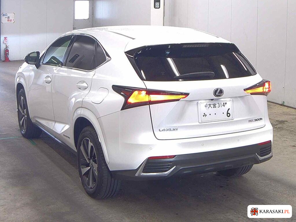 2020 Lexus NX NX300H Special Edition Spice And Chic 2