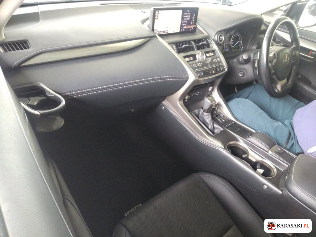 2020 Lexus NX NX300H Special Edition Spice And Chic 5