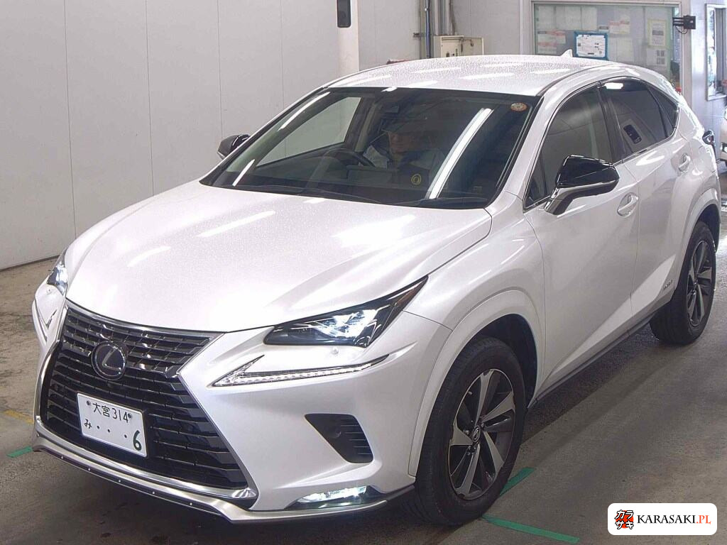 2020 Lexus NX NX300H Special Edition Spice And Chic 3