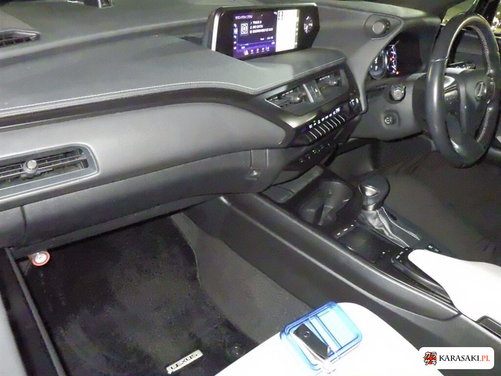 2018 Lexus Ux 4WD UX250H Version C 5