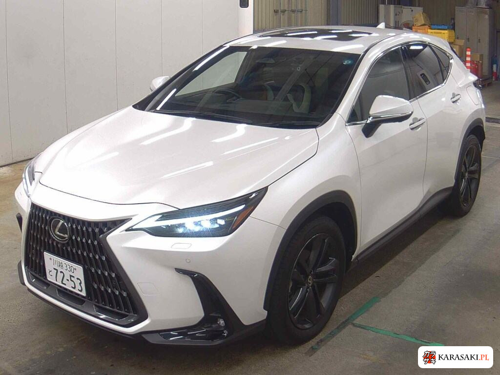 Lexus NX 2023 z aukcji japońskiej