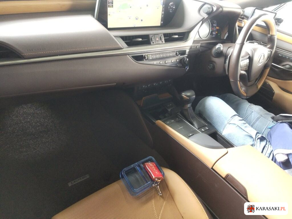2020 Lexus Es ES300H Version L 5