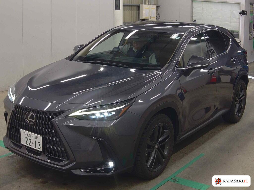 2022 Lexus NX NX350H Version L 3