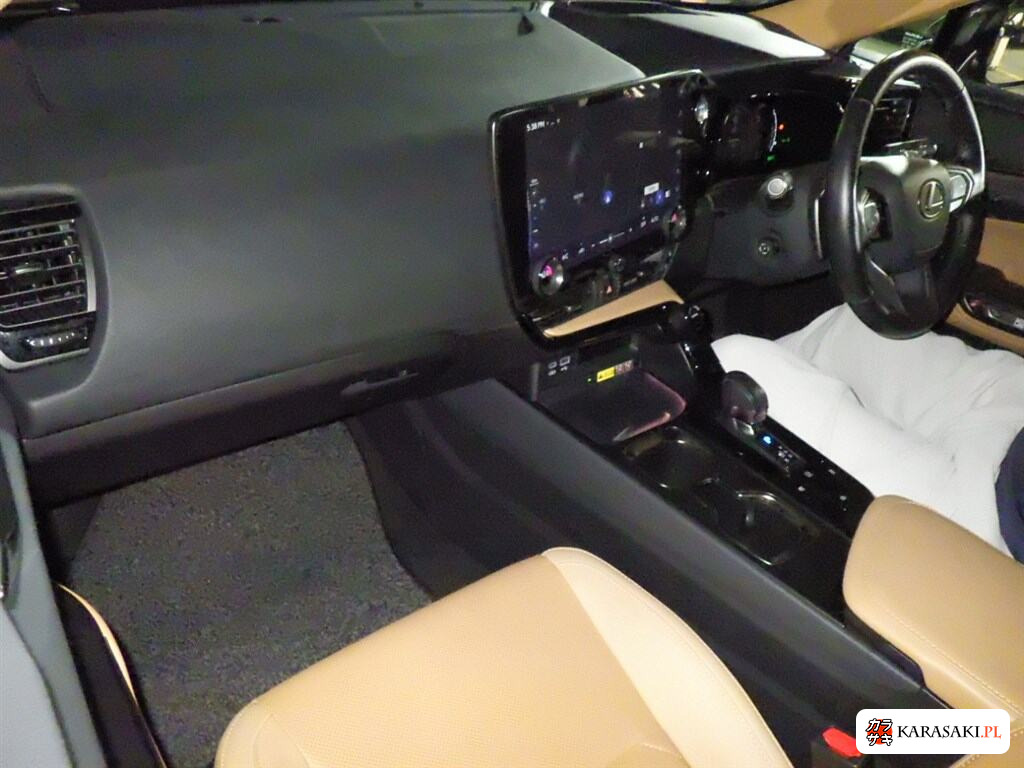 2022 Lexus NX NX350H Version L 5