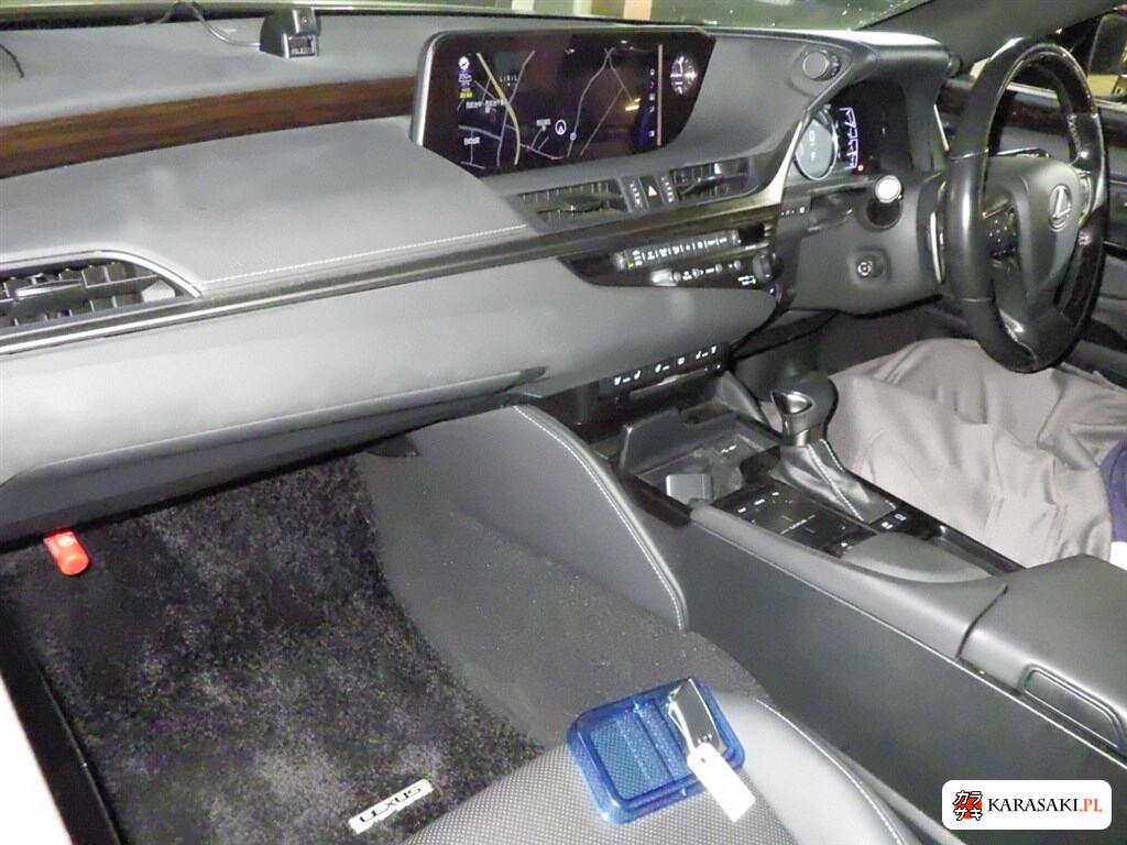 2019 Lexus Es ES300H 5