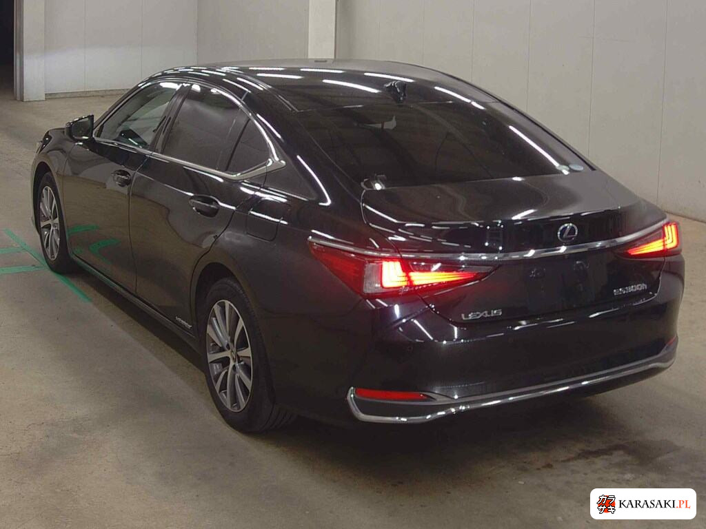 2019 Lexus Es ES300H 2