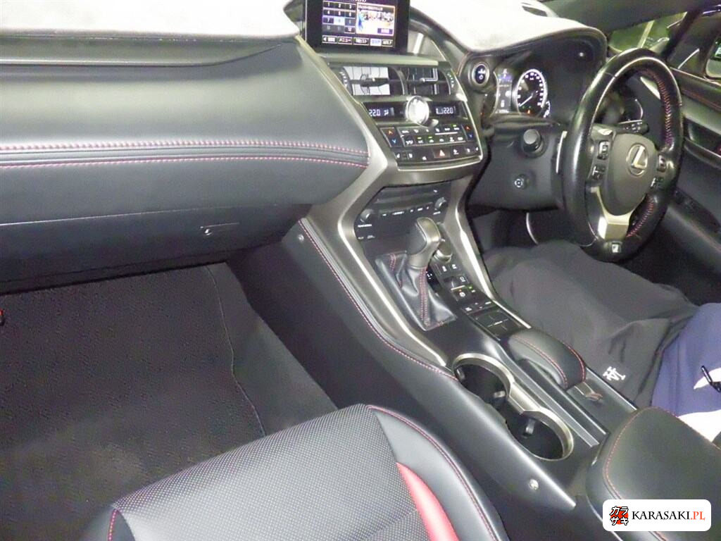 2016 Lexus NX 4WD NX300H F Sport 5
