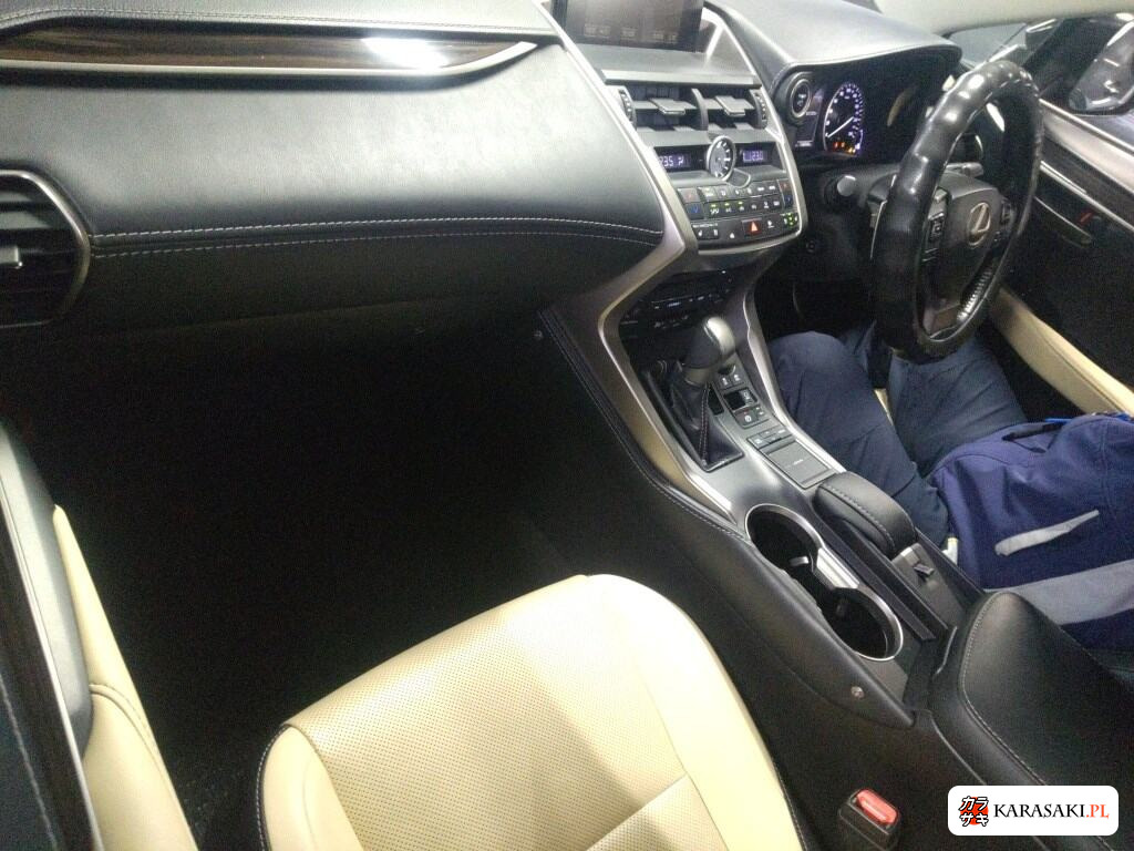 2017 Lexus NX 4WD NX300H Version L 5